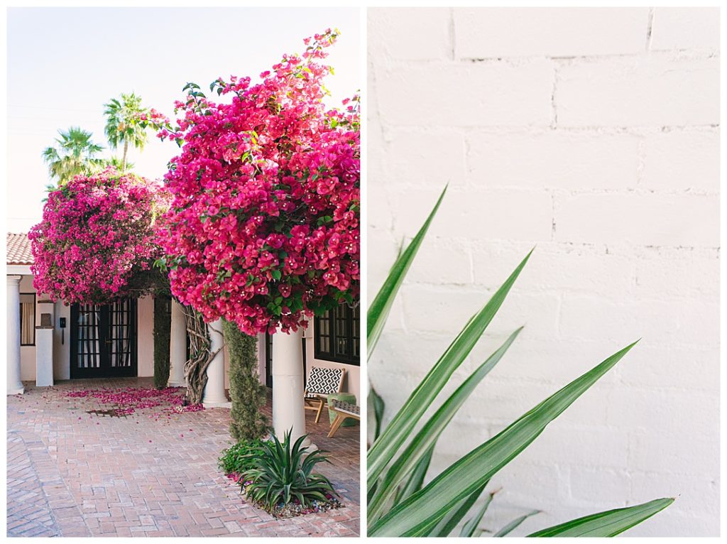 Getaway to Palm Springs - Lindsey Drewes Photography